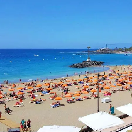Live Cristianos Habana Avenue Arona (Tenerife)